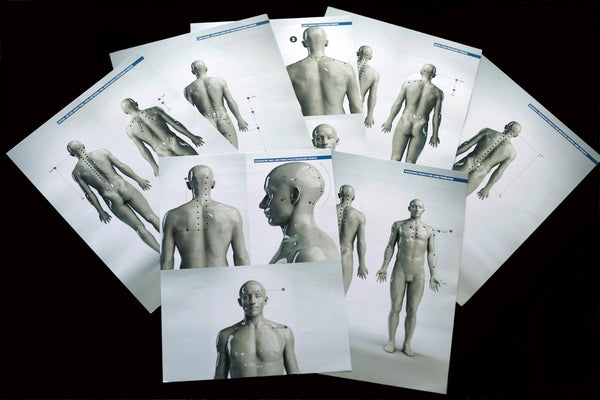 Pressure Point Therapy Book--FREE SHIPPING!